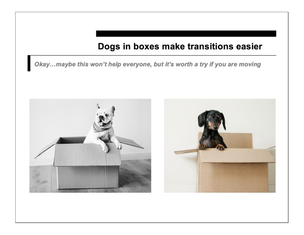 dogs in boxes help transitions